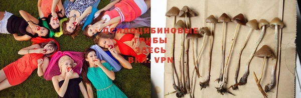 ALPHA-PVP Заволжск