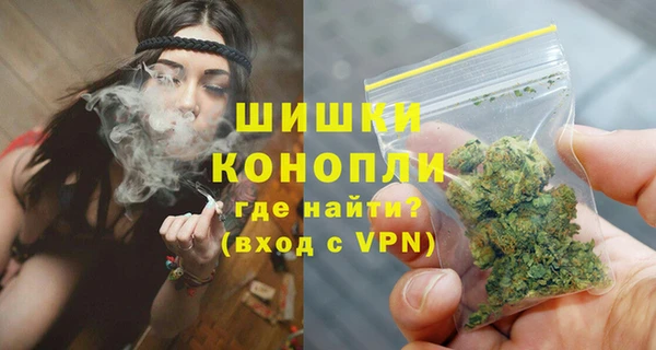 сатива Заволжье
