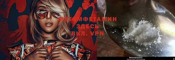 сатива Заволжье